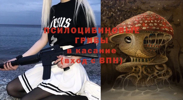герыч Арсеньев