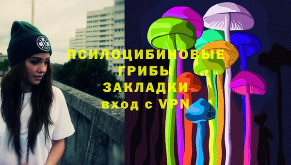 крисы Аркадак
