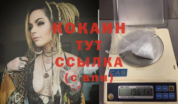 крисы Аркадак